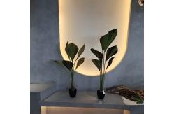 China Artificial Plants The Perfect Solution for Your Home and Office Greenery Needs supplier