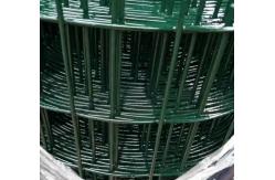 China TLWY PVC Coated Welded Mesh Fencing 9.0mm Holland Fence supplier