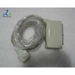 PLT-704AT 38mm Linear Array Ultrasound Probe Doppler Ultrasound Transducer for sale