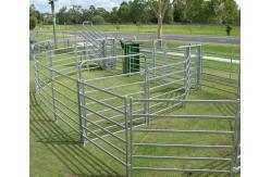 China Hot Dipped Galvanized Knotted Cattle Yard Panels For Sheep And Goat supplier