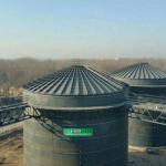 EGSB Biogas Plant Project Domestic Anaerobic Biogas Digester System for sale