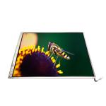 LTM14C502S 14.1 Inch  TFT-LCD Screen Module For Laptop for sale