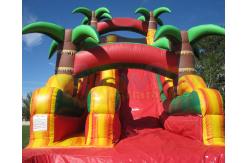 China Multicolor Amusement Pool Full Printing Inflatable Water Slide supplier