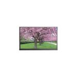 Original 15.6 inch N156DSE-G31 eDP LCD Screen for sale