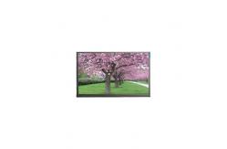 China Original 15.6 inch N156DSE-G31 eDP LCD Screen supplier