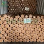 60grams 70grams Perforated Paper Kraft 66 X 300yardas for Spreading and Cutting for sale