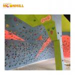 Children Indoor Climbing Wall Reinforced Fiberglass 1.2*2.4m For Shopping Mall for sale