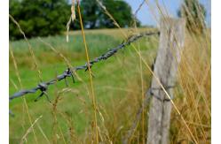 China Rust Resistance Double Strand Traditional Twist Barbed Wire Fence supplier