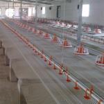 Broiler Feeding Pan Poultry Drinking Line Nipple Drinker For Quail for sale