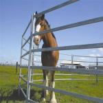 Portable Silver 6ft X 10ft Wire Cattle Panels Weather Resistant for sale