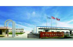 China Areca Palm manufacturer