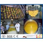 Mango Pulp Processing Machinery Mango Processing Line With Aseptic Package Machine for sale