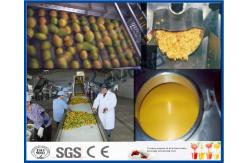China Mango Pulp Processing Machinery Mango Processing Line With Aseptic Package Machine supplier