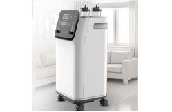 China 10 L High Flow Portable Household Oxygen Generator Concentrator 95% supplier