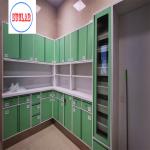 Stainless Steel Hospital Furniture Disposal Cupboards for Medical Waste Management for sale