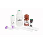 Solid Phase BAPNA Method Sperm Function Test Kit For Spermatozoa Acrosin Activity Test for sale