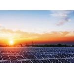 Durable 250 Watt Solar Panel , Solar Photovoltaic Module Long Life Span for sale