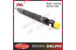 China 28231014 1100100ED01 DELPHI Diesel Injector 28392662 28277709 28256383 28362727 supplier