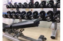 China 1540MM PU 3.0mm Pipe Multifunctional Weight Lifting Bench supplier