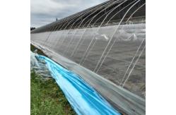 China White And Green Garden Netting 40mesh 50mesh For Plant Protection supplier