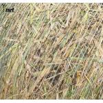 1.23x3000m Hay Bale Net Wrap Customized Net Wrap For Hay Baler for sale