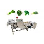 Fruits 380V Vegetable Washing Machine With Conveyor for sale