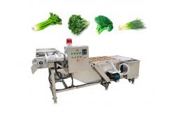 China Fruits 380V Vegetable Washing Machine With Conveyor supplier