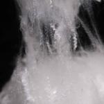 Eco-Friendly Hollow Polyester Fiber 1.33D Siliconized Lightweight White