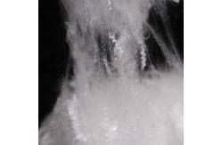 China Eco-Friendly Hollow Polyester Fiber 1.33D Siliconized Lightweight White supplier