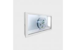 China 90 Inch Transparent LCD Screen Display 1920*1080 Transparent Display Screen supplier