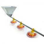 Automatic Feeding System For Poultry Chicken Farm Equipment Chicken Drinker And Feeder for sale