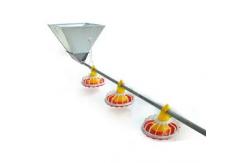 China Adjustable Speed Chicken Feeding Line Poultry Pan Feeding System supplier