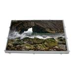 LQ101K1LY02 10.1 inch 1208*800 LCD Display LCD Panel for sale