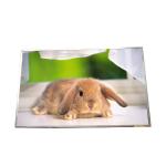 New B170PW03 V3 Resolution 1440*900 TFT LCD Panel for AUO for sale