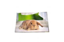 China New B170PW03 V3 Resolution 1440*900 TFT LCD Panel for AUO supplier