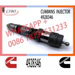 4928346 QSK23 Diesel Engine Common Rail Fuel Injector 4087887 4010163 3766446 4326781