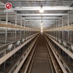 U Type Q235 Metal Cage For Chickens , 3-8 Tiers H Type Poultry Chicken Cage for sale