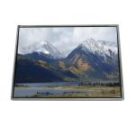LTD141EM3P 14.1 inch LVDS 262K TFT-LCD Screen Panel for sale