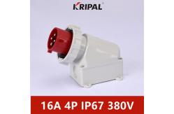 China IEC 4 Pole IP67 380V 16A Industrial  Wall Mounted Plug Waterproof supplier