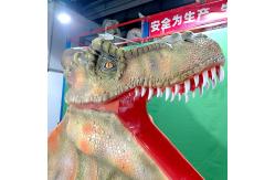 China Animatronic Realistic Dinosaur Slide For Dino World / Amusement Park supplier