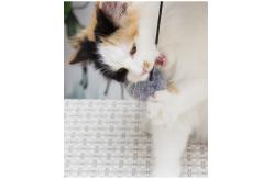 China ODM Bite Resistant 42cm Sisal Scratching Post supplier