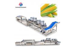China Kiwi Carrot Taro Vegetable Brush Bubble Cleaning Machine 2.5KW supplier