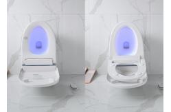 China Electronic Bidet Smart Intelligent Toilet Automatic Cleaner Seat supplier