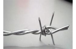 China 12x12 Single Twisted Galvanized Razor Barbed Wire supplier