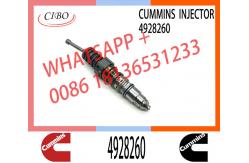 China Common Rail Fuel Injector 4928260 4088725 1521978 1764365 4030346 4088660 4954434 supplier