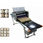 Whole Tray Egg Continuous Inkjet Printer With USB Flash Drive Internal Storage for sale
