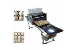 China Whole Tray Egg Continuous Inkjet Printer With USB Flash Drive Internal Storage supplier