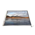 LTM14C421 14.1 Inch 1024*768 LCD Screen Panel Display for sale
