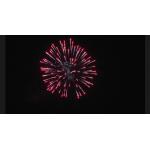 Pyrotechnic Super Big 500G 9 Shots Cake Fireworks For Celebration Fireworks for sale
