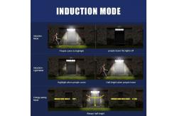 China 100W China Outdoor Polysilicon Solar Floodlight Suppliers supplier